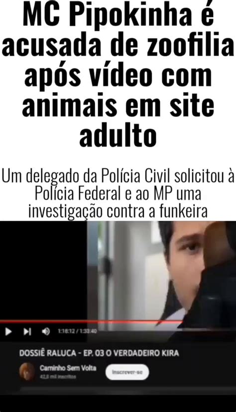 pipokinha com gato|MC Pipokinha é acusada de praticar zoofilia após vídeo com gatos